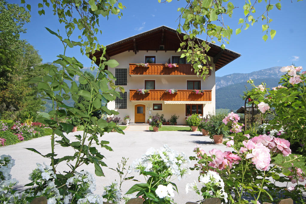 Rosspointnerhof Hotel Haus im Ennstal Luaran gambar