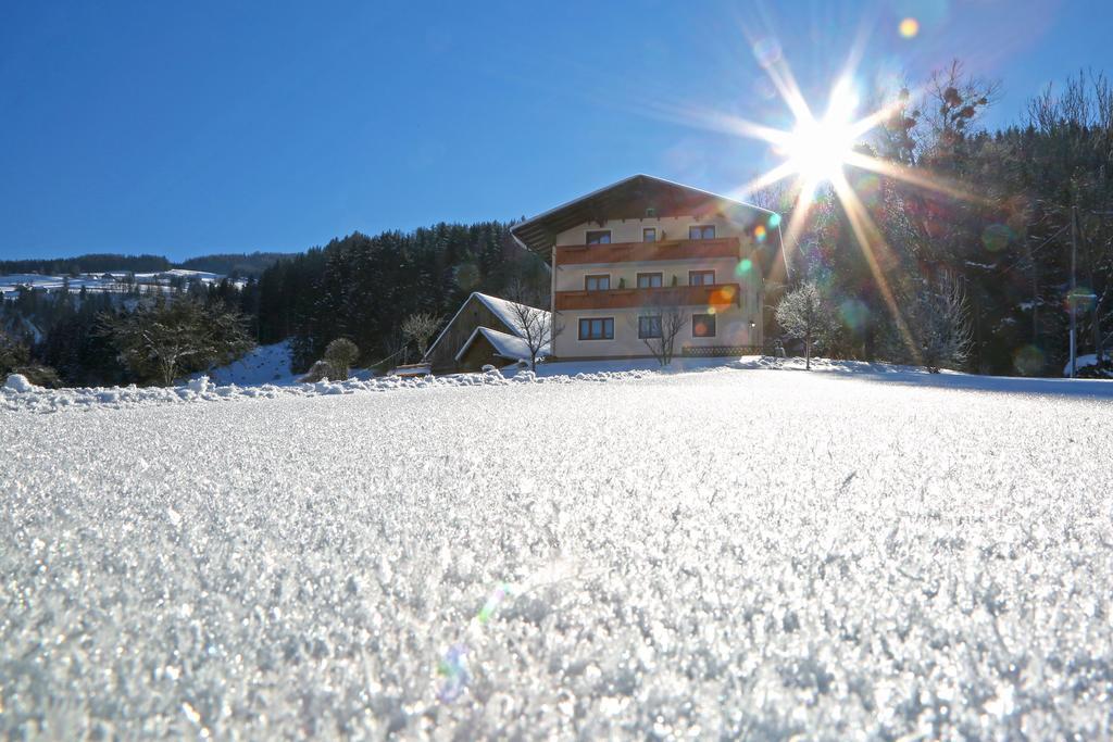 Rosspointnerhof Hotel Haus im Ennstal Luaran gambar